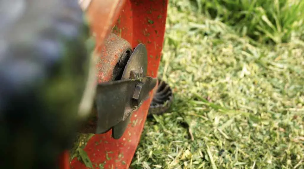 Nahaufnahme eines Mähmessers am Rasenmäher im frisch gemähten Gras