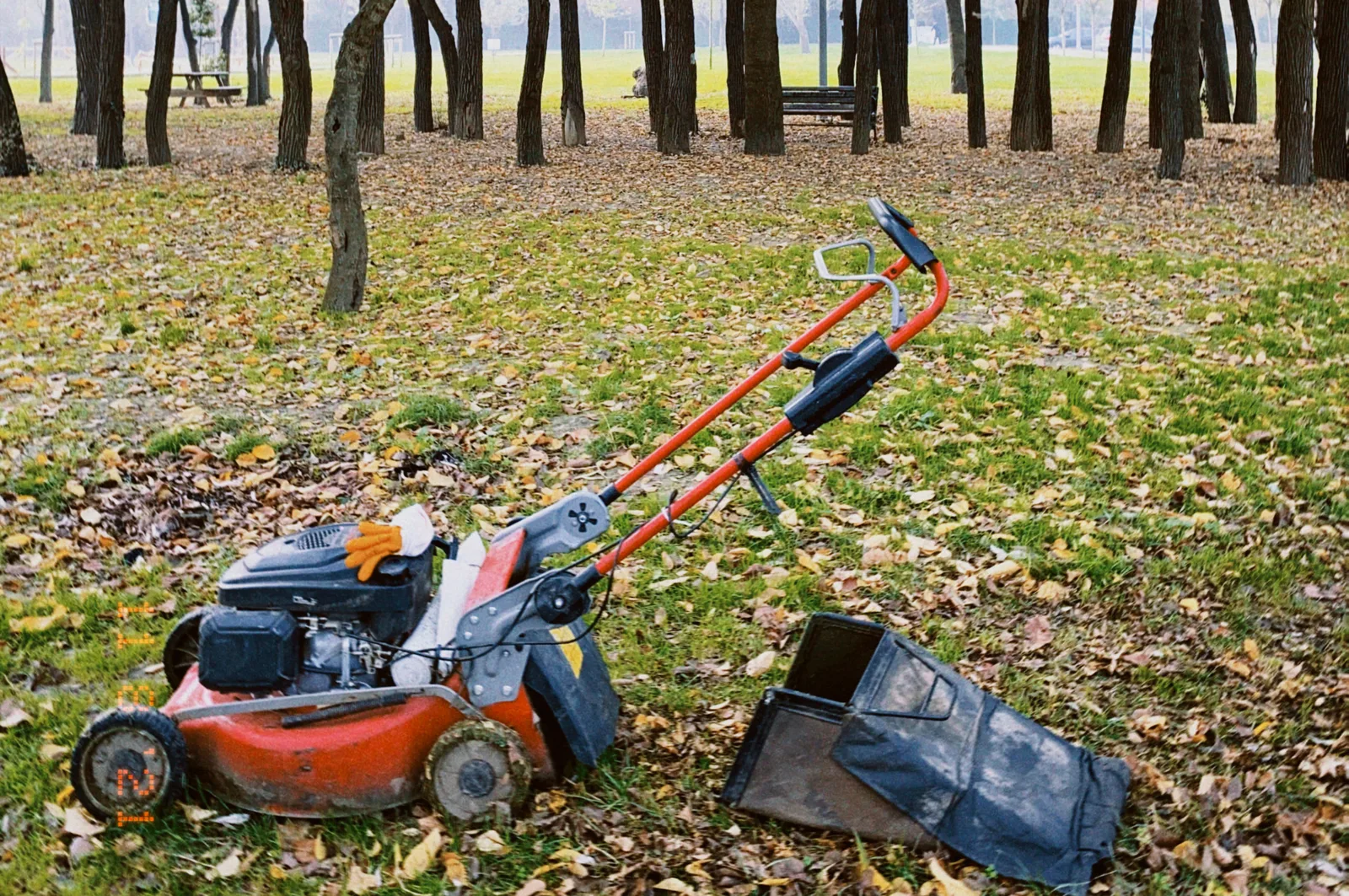 Rasenmäher im Garten, liegender Fangkorb, Herbst